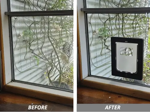 pet-door-six.webp