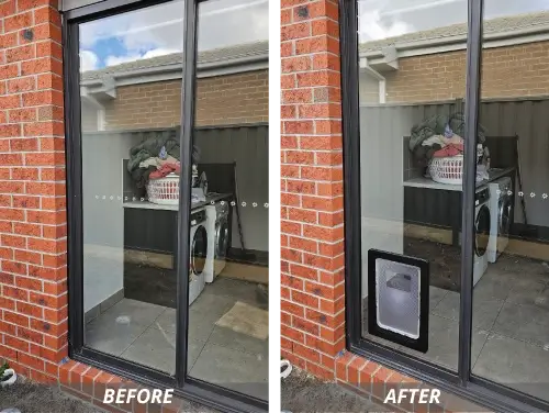 pet-door.webp