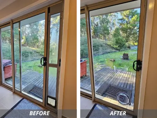 pet-door-two.webp