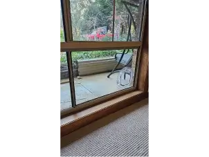 singles/pet-door-five.webp